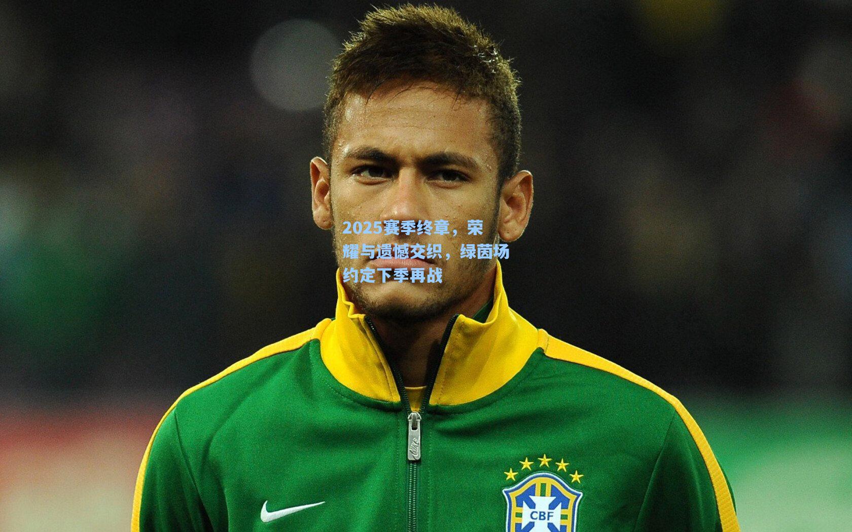 2025赛季终章,荣耀与遗憾交织,绿茵场约定下季再战